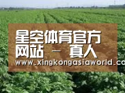 种植基地五