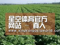 种植基地五(图1)