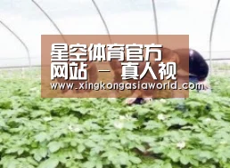 种植基地三