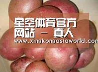 产品展示标题1