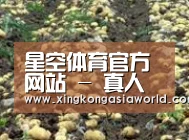 种植基地八(图1)