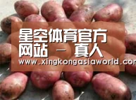 产品展示标题5(图1)