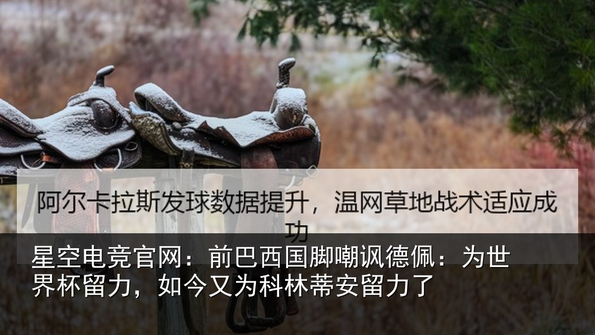 星空电竞官网:前巴相关情况世界相关情况林蒂安留力了