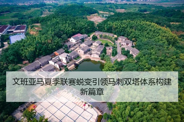 文班亚马夏季联赛蜕变引领马刺双塔体系构建新篇章
