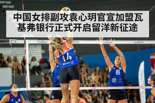 volleyball match