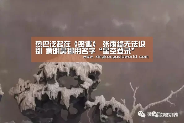 热巴泛起在《密逃》 张雨绮无法识别 黄明昊挪用名字“星空登录”(图4) 星空直播